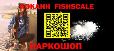 индика Ставрополь