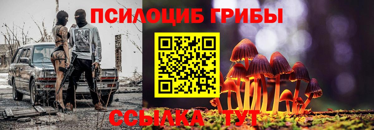 Псилоцибиновые грибы Обнинск